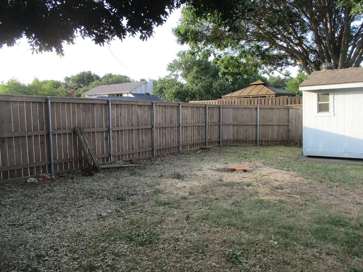 Cleared yard after professional tree removal in Taylorsville